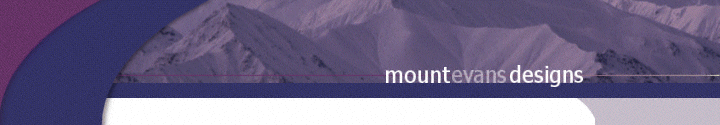 professional web design